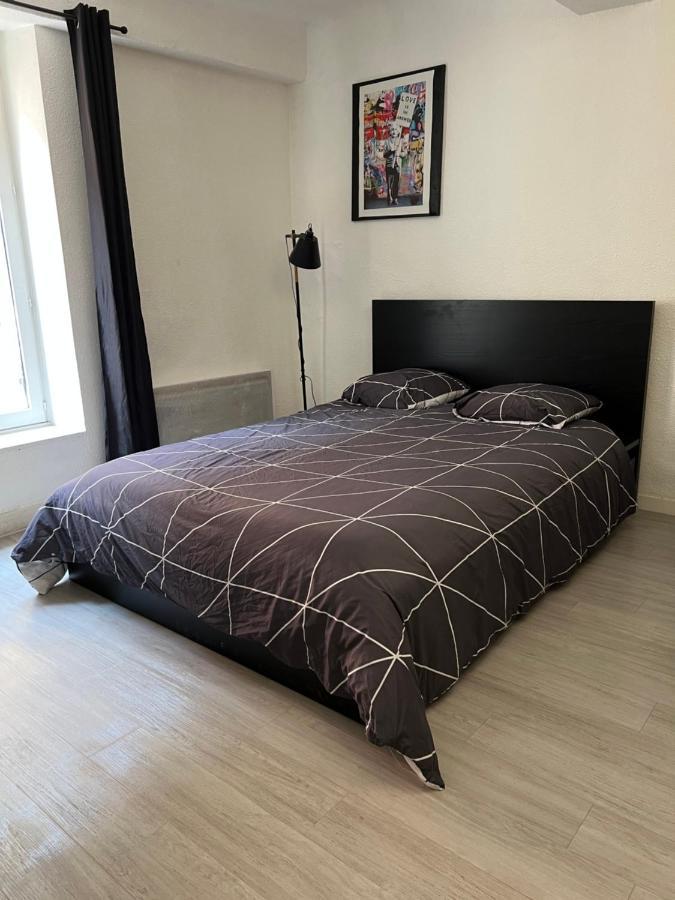 Studio Cosy Au Coeur Du Centre Ville Mâcon المظهر الخارجي الصورة