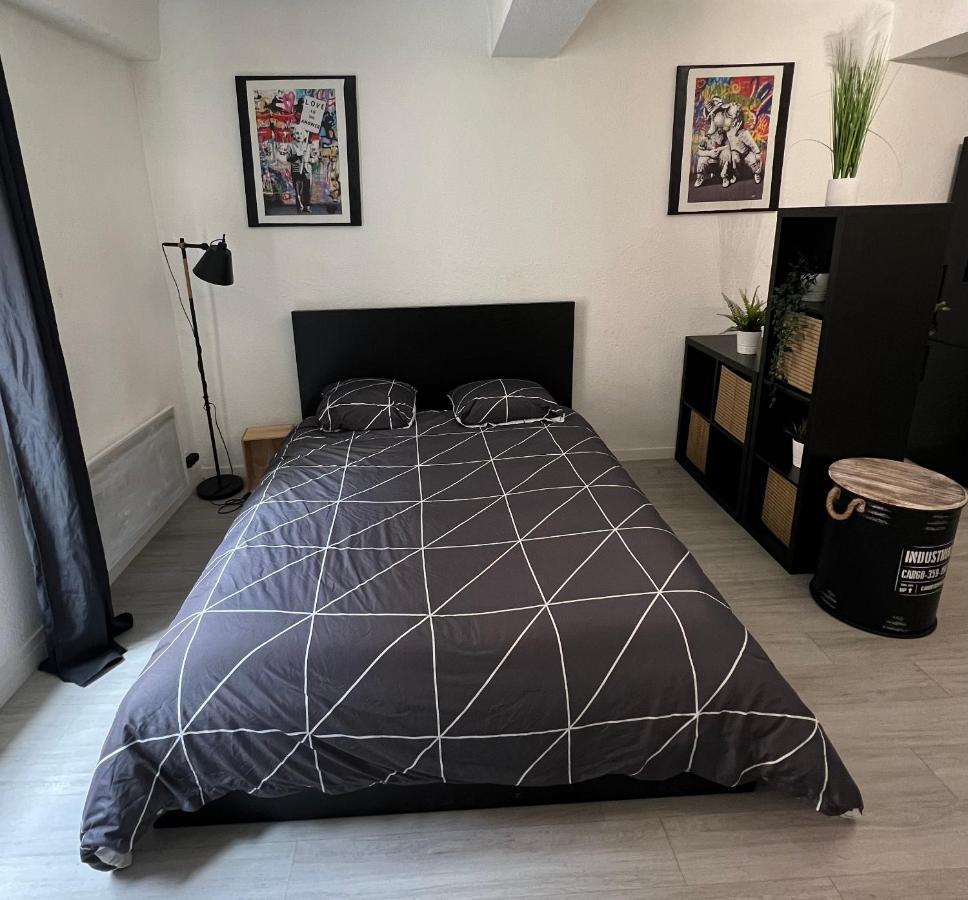 Studio Cosy Au Coeur Du Centre Ville Mâcon المظهر الخارجي الصورة